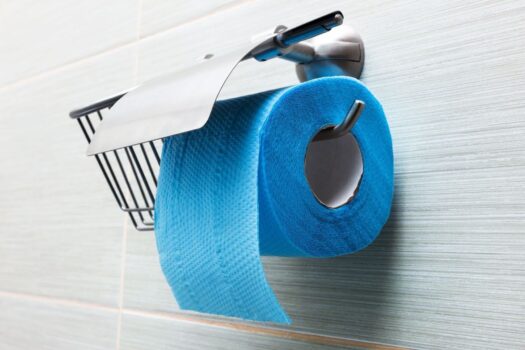 10 Best Toilet Papers 2025