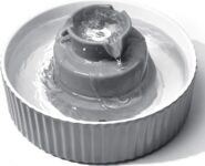 Top 10 Der Besten Trinkbrunnen für Katzen und Hunde 2026